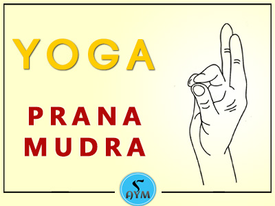 Yoni Mudra | Blog | Head and Heart Yoga