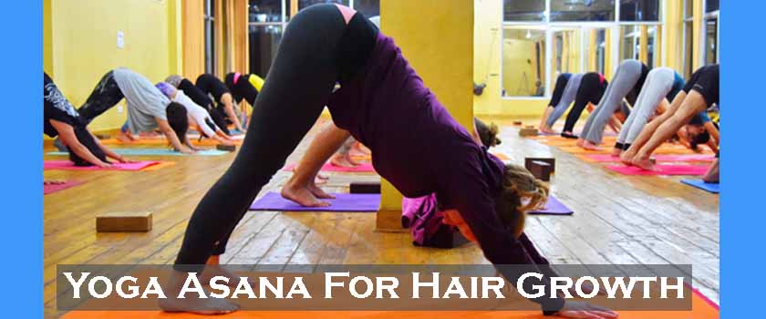 96+ Top Yoga Poses For Hair Growth | Top yoga poses, Yoga poses, Yoga  postures
