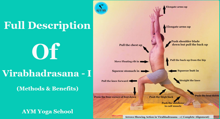 Warrior 2 Yoga Pose: How To Do Virabhadrasana 2 with Barbra Noh - YouTube
