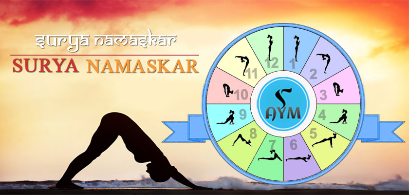 Surya Namaskar: A Step-By-Step Guide to Sun Salutations (For Beginners!) –  Brett Larkin Yoga