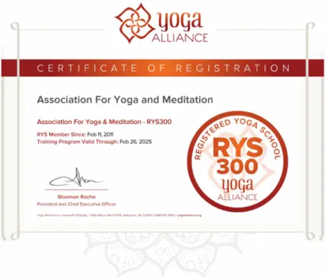 300 hour Yoga Alliance, USA