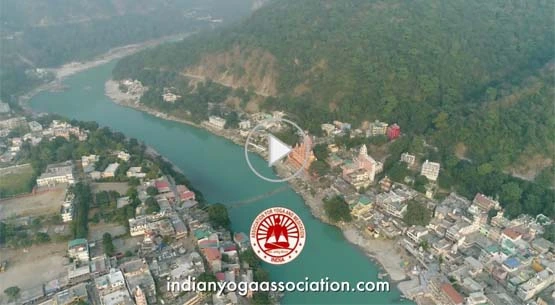 Learn yoga in rishikesh at aym